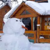 Cabañas Nunatak