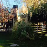 Ty Coed Apart Hotel
