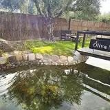 Oliva Negra Resort