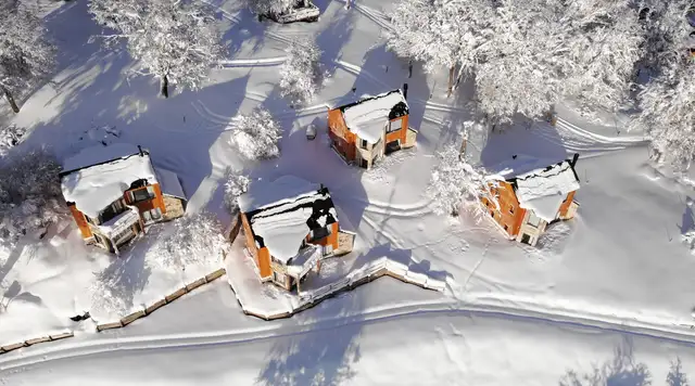 Cabañas Bosque Nevado