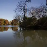 Lago de Regatas