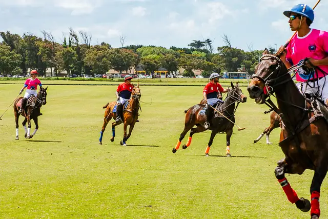 Argentina Polo School