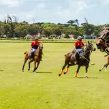Argentina Polo School