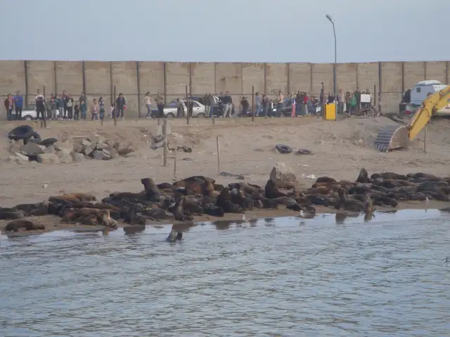 Reserva de Lobos Marinos