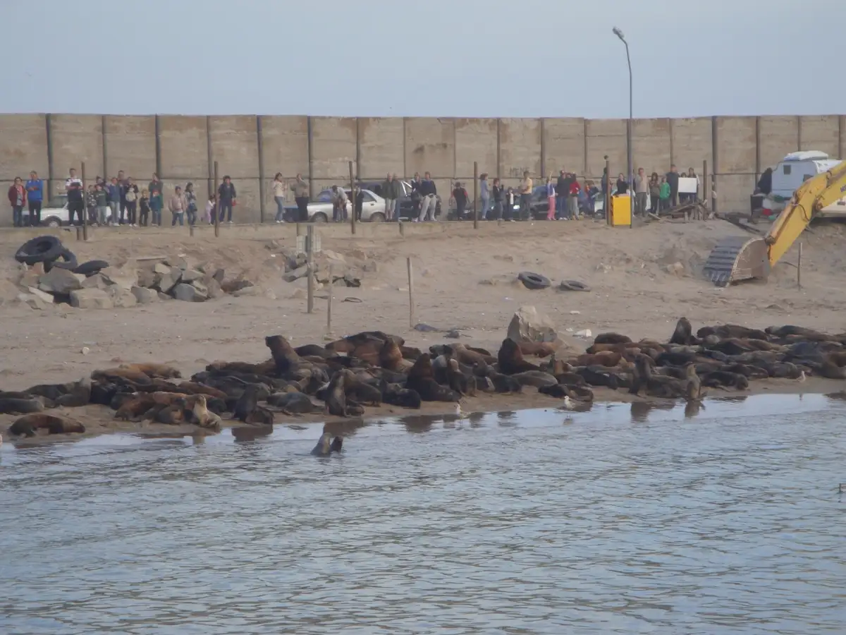 Reserva de Lobos Marinos
