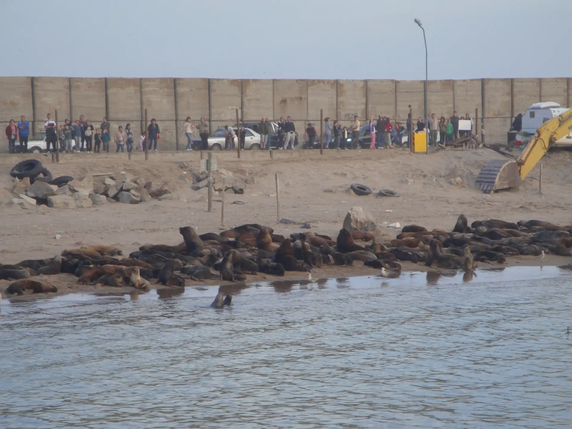 Reserva de Lobos Marinos