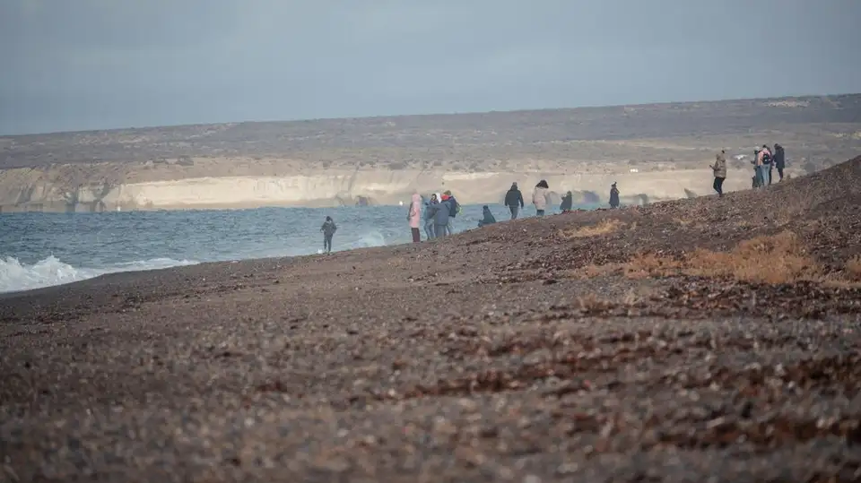Imagen destacada de atracciones en Puerto Madryn