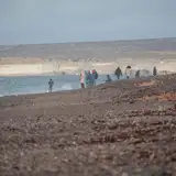 Área Natural Protegida Punta Loma