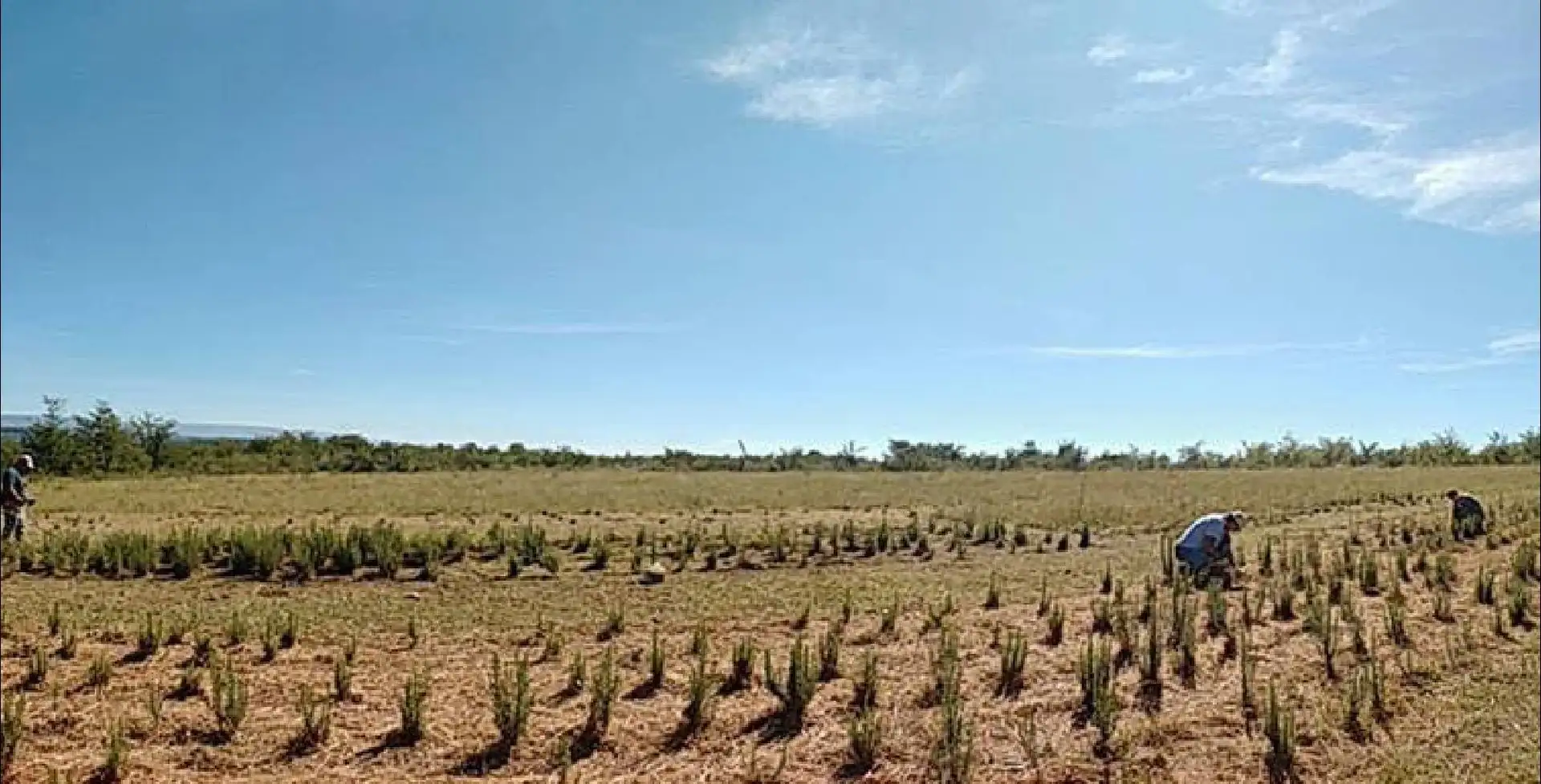 Imagen destacada de atracciones en Santa Rosa de Calamuchita