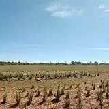 Esencias Naturales De La Meca
