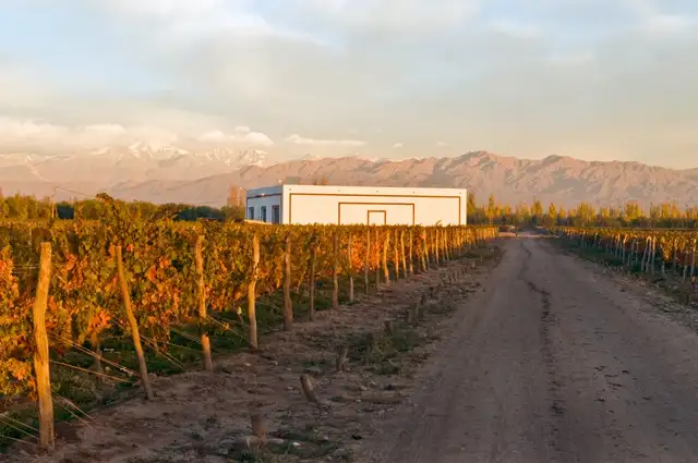 Ricardo Santos Bodega y Viñedos
