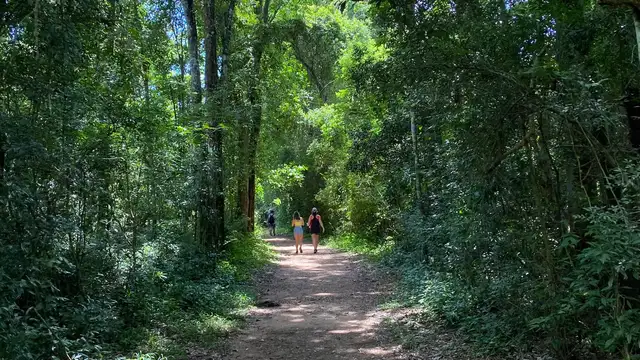 Safaris en la Selva