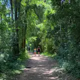 Safaris en la Selva