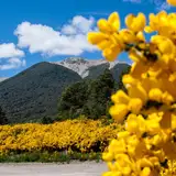 Cerro Bayo