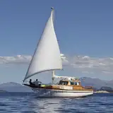 Velero Impaciente
