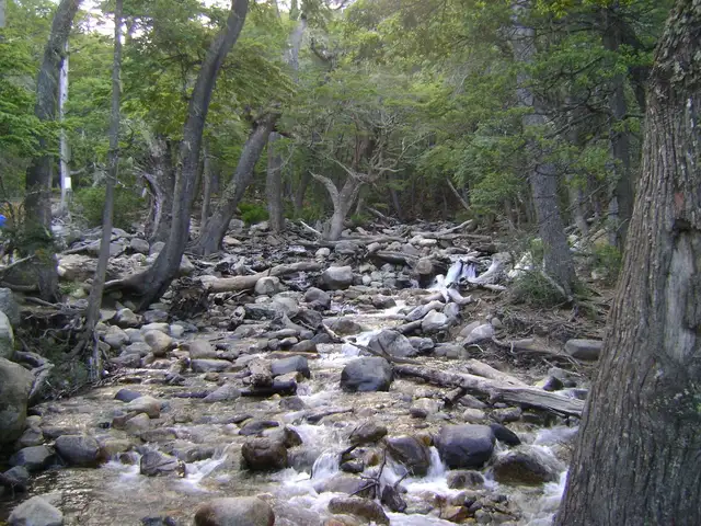 Arroyo López