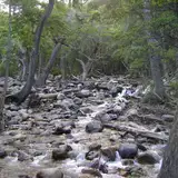 Arroyo López