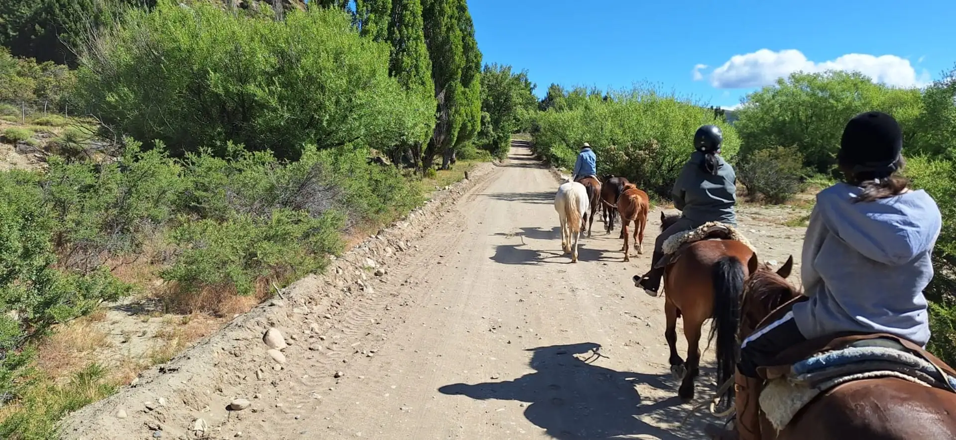 Cabalgatas y Aventura Arianepatagonia