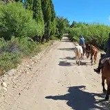 Cabalgatas y Aventura Arianepatagonia