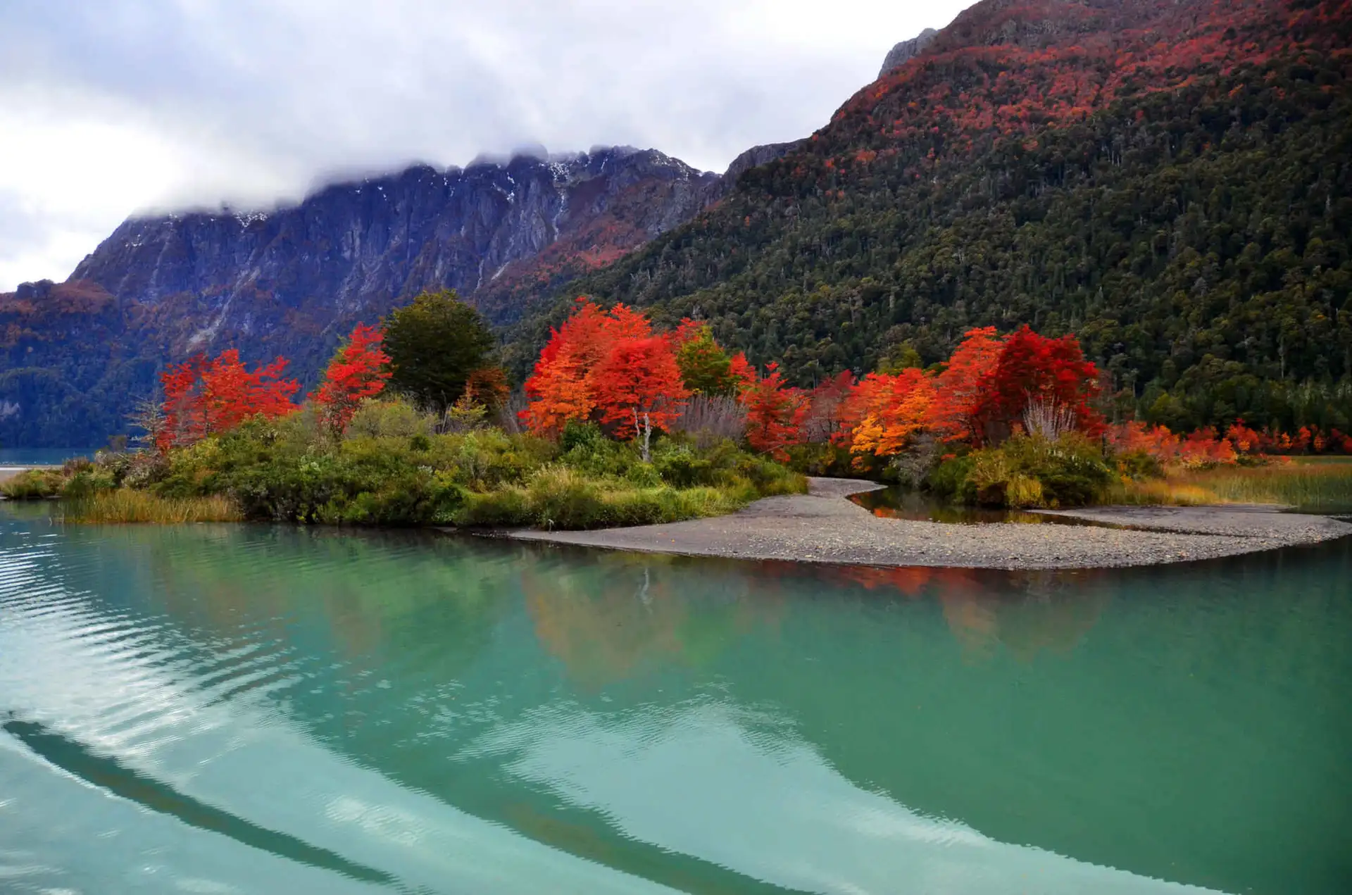 Puerto Blest y Cascada de los Cántaros