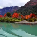 Puerto Blest y Cascada de los Cántaros