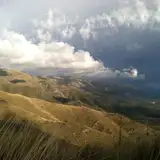 Los Caminos del Té