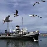 Barco Saint Christopher