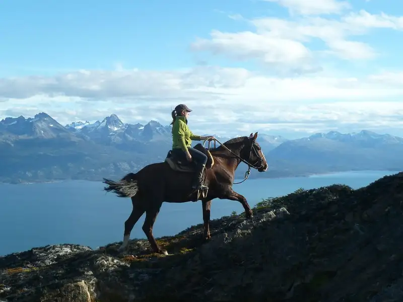 Canal Beagle