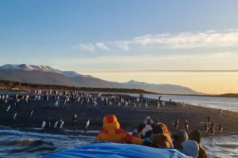Latitud Ushuaia Travel
