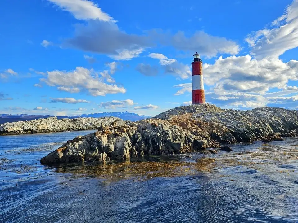 Navegación + Isla de Pingüinos