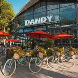 Dandy Saavedra