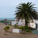 La Palmera